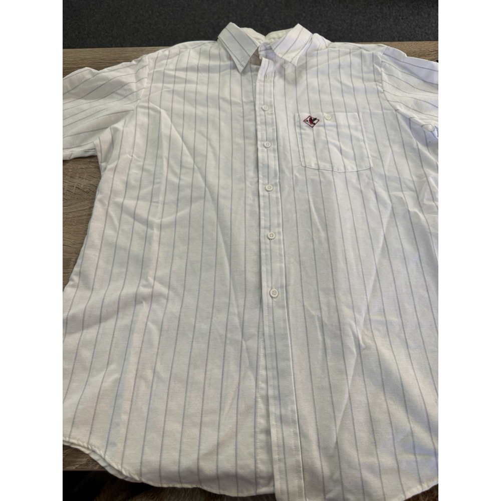 VGT Raintree Southern Hampton Shirt Mens Large WhiteDuck Logo Button S/S 0080